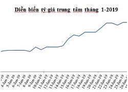 Vì đâu tỷ giá và lãi suất cùng nắm tay nhau tăng ngay tháng đầu năm?