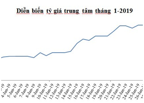 Vì đâu tỷ giá và lãi suất cùng nắm tay nhau tăng ngay tháng đầu năm?