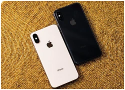 Apple bất ngờ tung "hàng nóng" giá rẻ ngay trong Tết: iPhone X đổi bảo hành giảm tận 5 triệu đồng