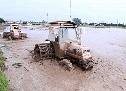 Các địa phương tập trung sản xuất lúa đông xuân