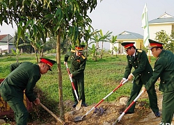 Bộ Chỉ huy Quân sự tỉnh Nghệ An phát động Tết trồng cây