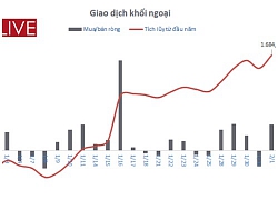 Bức tranh nào cho thị trường chứng khoán Việt trong tuần giao dịch đầu tiên của năm Kỷ Hợi?