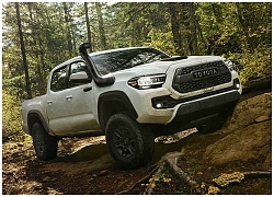 Chi tiết xe bán tải Toyota Tacoma 2020 nâng cấp mới