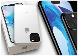 Khi nào Apple bán iPhone 11?