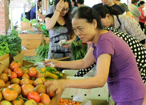 Làm nông nghiệp hữu cơ: Tốt nhưng tránh theo phong trào, ảo tưởng