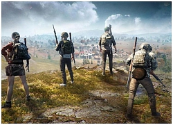 Nghiện PUBG, chồng bỏ mặc vợ đang mang thai