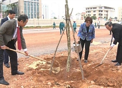 Quảng Bình phát động Tết trồng cây năm 2019