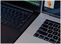 Razer Blade Stealth 2019 &#8220;đọ&#8221; MacBook: mèo nào cắn mỉu nào?