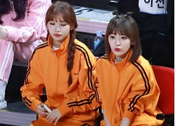 Sakura (IZ*ONE) và thể thao dường như "có thù" với nhau!