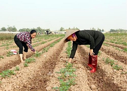 Tạo sự đồng thuận để 'Nhà nước và nhân dân cùng làm'