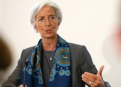 Tổng Giám đốc IMF cảnh báo nền kinh tế Anh sẽ lao dốc sau Brexit