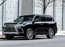 Hai người anh em Toyota Land Cruiser và Lexus LX còn lâu mới được "mặc áo mới"