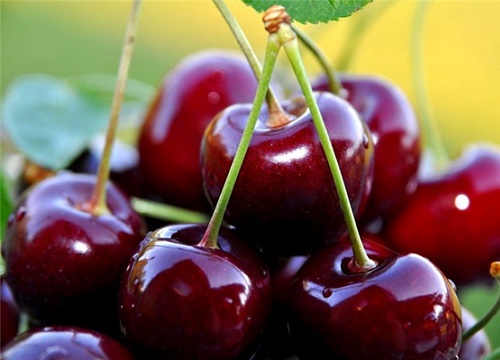 Những tác dụng không ngờ của quả cherry