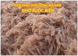 Ruốc trải đỏ bờ biển Đà Nẵng, ngư dân thu hàng triệu đồng mỗi đêm