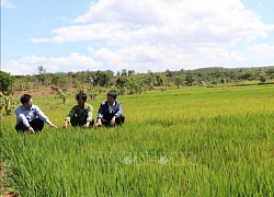 Tây Nguyên ứng phó với mùa khô hạn sau Tết Nguyên đán