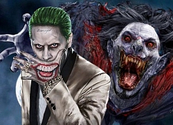 Tin buồn cho fan DC: Sẽ khó có phần phim riêng của Jared Leto hay 'The Joker & Harley Quinn'