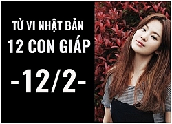 Tử vi Nhật Bản (12/2/2019) của 12 con giáp: Tuổi Mão thực hiện dự tính