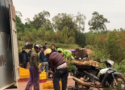 Xử lý nghiêm các trường hợp vận chuyển, buôn bán, tiêu thụ động vật, sản phẩm động vật nhập lậu