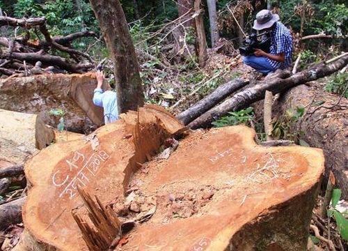 Chủ tịch, Phó Chủ tịch huyện bị kỷ luật vì sai phạm