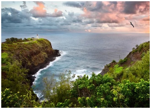 Đi đâu làm gì khi đến thăm đảo Kauai, Hawaii