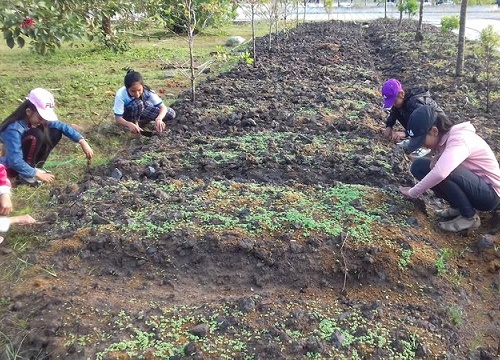 Giúp học sinh trải nghiệm ra sao trong chương trình mới, góc nhìn từ thực tiễn