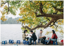 Hà Nội những ngày thay lá: Mùa xuân mang hương sắc mùa thu và tình ơi là tình