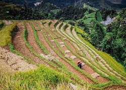 Mưa đá kéo dài 50 phút ở Mù Cang Chải