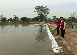 Ninh Bình: Nhà nông được tiếp vốn thả cá, nuôi vịt trời