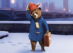 Paddington đang được triển khai thành Tv series hoạt hình