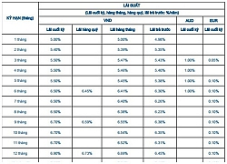 Thông tin mới nhất về lãi suất ngân hàng Sacombank tháng 2/2019