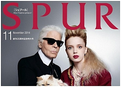 Chẳng phải ai khác, mèo Choupette mới chính là 'nàng thơ' nổi tiếng nhất của Karl Lagerfeld với vẻ đẹp vừa sang chảnh lại ngọt ngào