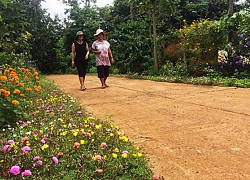 Đăk Lăk: "Mặc áo hoa" cho nhiều con đường nông thôn mới