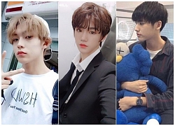 Dàn trainee &#8217;soái ca&#8217; được cho là sẽ tranh tài tại &#8216;Produce X 101&#8242;