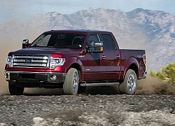 Ford VN không chịu trách nhiệm bảo hành, bảo dưỡng vụ F-150 lỗi hộp số