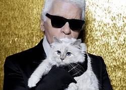 Mèo cưng thừa hưởng tài sản 200 triệu USD sau khi Karl Lagerfeld mất?