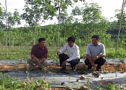 Quảng Bình: Kiểm tra, giám sát của Hội vì lợi ích của nông dân