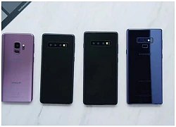 Samsung Galaxy S10/S10 Plus: Vì sao nên chọn đặt gạch thay vì chờ đặt cọc?