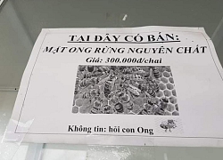 Sợ khách không tin mình bán mật ong rừng xịn, người bán đáp ngắn gọn: 'Không tin hãy hỏi con ong'