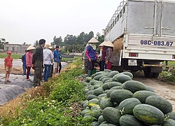 Trung Quốc thay đổi chính sách nhập khẩu: Dưa hấu ảnh hưởng lớn