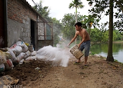 Giá heo hơi hôm nay 23/2: Công ty lớn giữ giá, thị trường tiêu thụ tốt đừng bán tháo