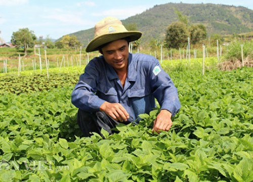 Lâm Đồng sắp có huyện thứ 2 cán đích nông thôn mới