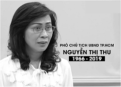 Nhìn lại quá trình công tác của Phó chủ tịch UBND TP HCM Nguyễn Thị Thu trước khi qua đời