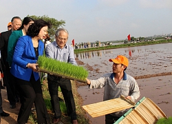 Phú Xuyên khởi sắc đầu năm mới: Phấn đấu về đích vào cuối năm nay