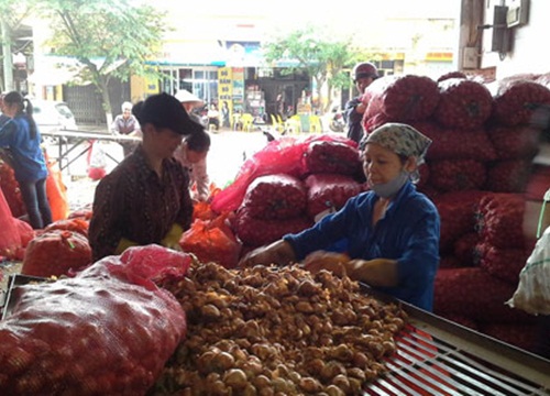 Thu hút hội viên, nông dân bằng việc thực, cách làm thật