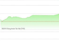 Tin tức chứng khoán hôm nay 21/2: VN-Index "nhảy vọt"