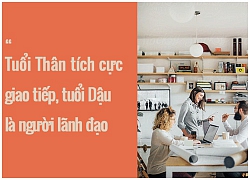 Tử vi ngày (21/2/2019) về công việc của 12 con giáp: Tuổi Ngọ chớ 'thả thính' chốn công sở thị phi