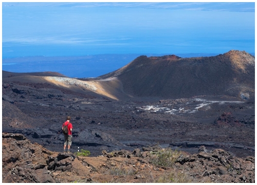 5 điều bạn có thể làm ở quần đảo Galapagos ngoài việc ngắm rùa