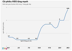 Các 'sếp lớn' Hoa Sen lãi tiền tỷ sau một tháng bắt đáy giá cổ phiếu