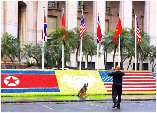 Chú chó nghiệp vụ tranh thủ chụp ảnh tại Hội nghị Thượng đỉnh: "Mấy khi được tới Việt Nam..."