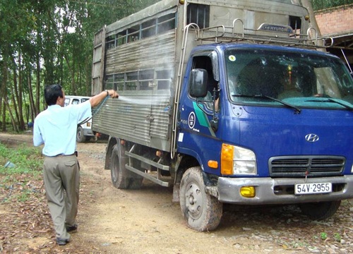 Dịch tả lợn châu Phi: Những ai có thể là đối tượng truyền bệnh?